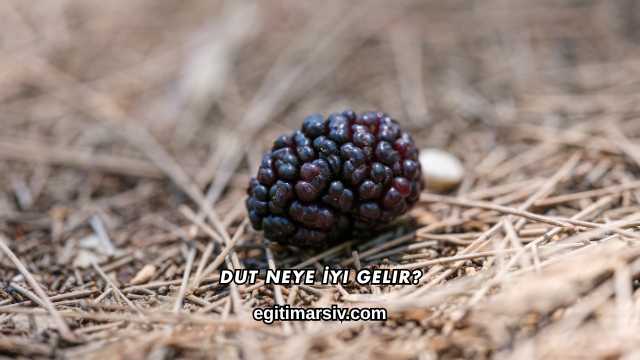 Dut Neye İyi Gelir?