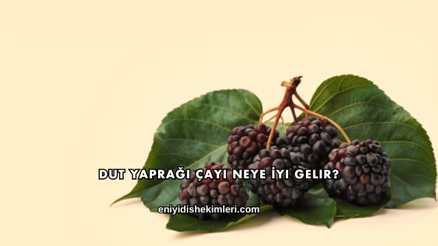 Dut Yaprağı Çayı Neye İyi Gelir?