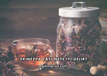 Ekinezya Çayı Neye İyi Gelir?