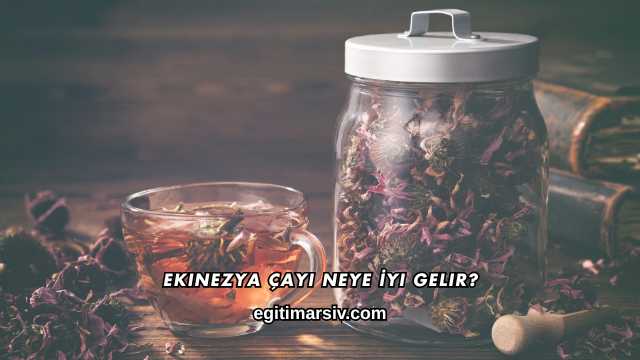 Ekinezya Çayı Neye İyi Gelir?