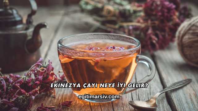 Ekinezya Çayı Neye İyi Gelir?