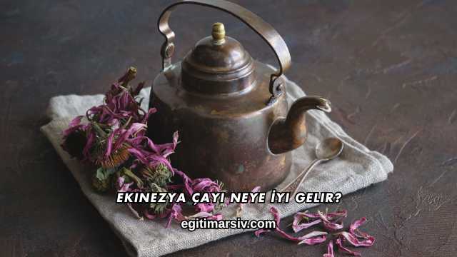 Ekinezya Çayı Neye İyi Gelir?