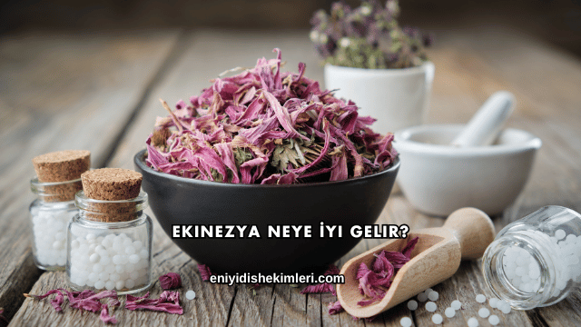 Ekinezya Neye İyi Gelir?