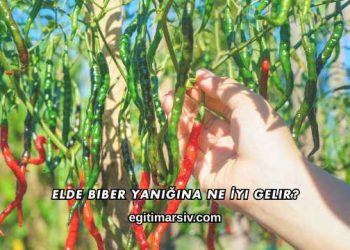 Elde Biber Yanığına Ne İyi Gelir?