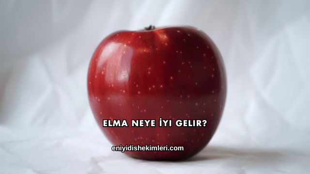 Elma Neye İyi Gelir?
