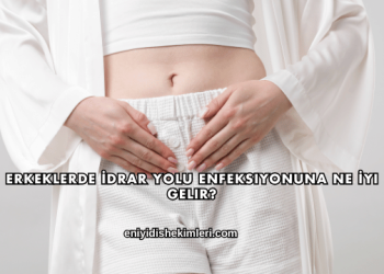 Erkeklerde İdrar Yolu Enfeksiyonuna Ne İyi Gelir?