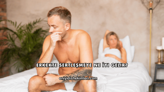 Erkekte Sertleşmeye Ne İyi Gelir?