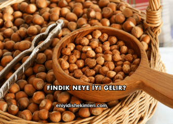 Fındık Neye İyi Gelir?