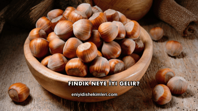 Fındık Neye İyi Gelir?