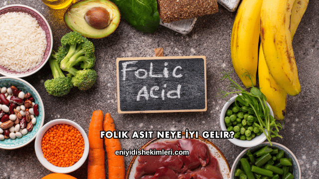 Folik Asit Neye İyi Gelir?
