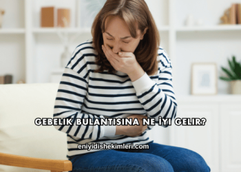 Gebelik Bulantısına Ne İyi Gelir?