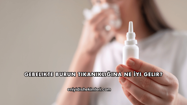 Gebelikte Burun Tıkanıklığına Ne İyi Gelir?