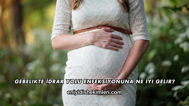Gebelikte İdrar Yolu Enfeksiyonuna Ne İyi Gelir?