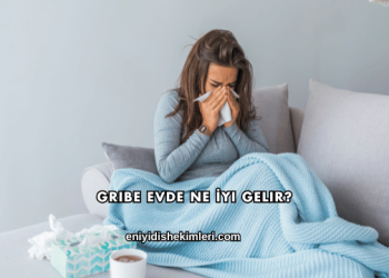 Gribe Evde Ne İyi Gelir?