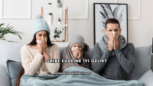 Gribe Evde Ne İyi Gelir?