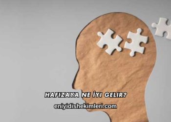Hafızaya Ne İyi Gelir?