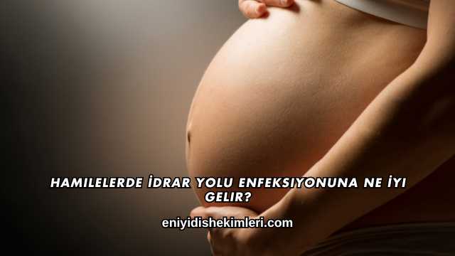 Hamilelerde İdrar Yolu Enfeksiyonuna Ne İyi Gelir?