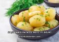 Haşlanmış Patates Neye İyi Gelir?