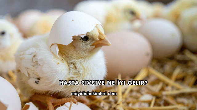 Hasta Civcive Ne İyi Gelir?