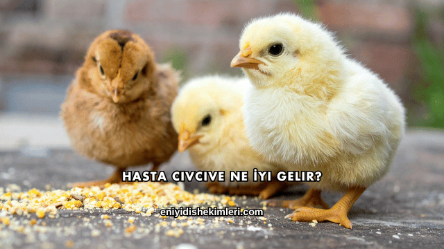 Hasta Civcive Ne İyi Gelir?