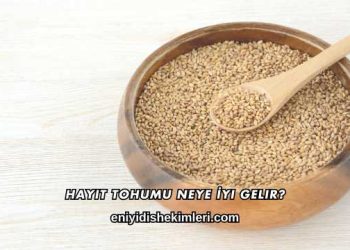 Hayıt Tohumu Neye İyi Gelir?