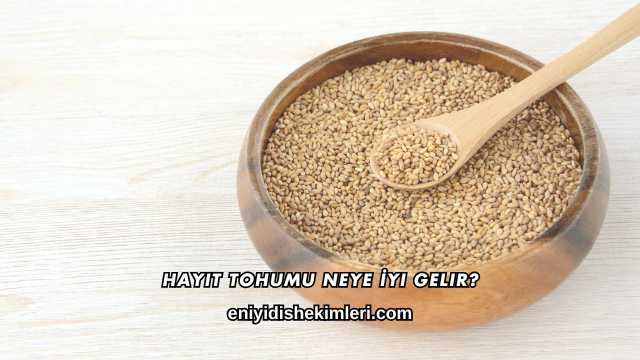 Hayıt Tohumu Neye İyi Gelir?