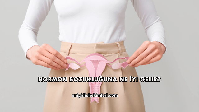 Hormon Bozukluğuna Ne İyi Gelir?