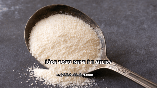 İğde Tozu Neye İyi Gelir?