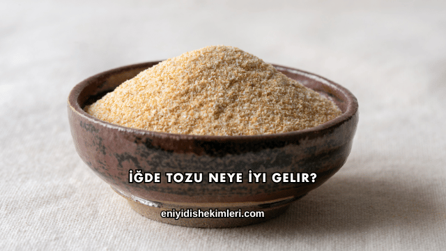 İğde Tozu Neye İyi Gelir?