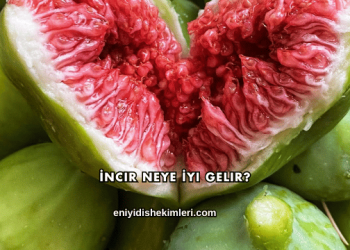 İncir Neye İyi Gelir?