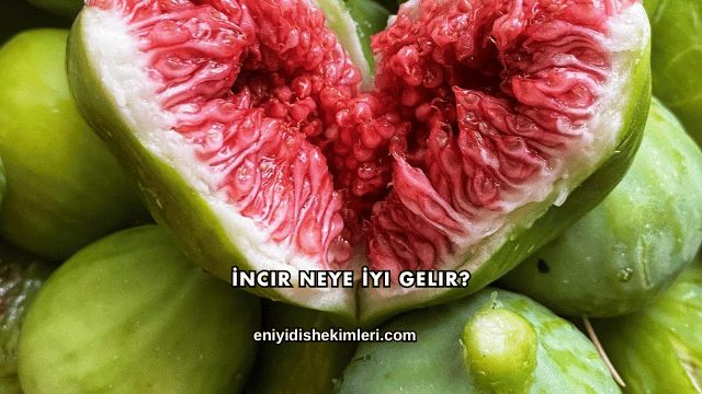 İncir Neye İyi Gelir?