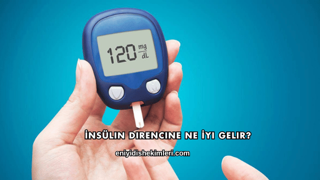 İnsülin Direncine Ne İyi Gelir?