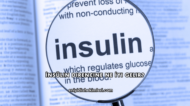İnsülin Direncine Ne İyi Gelir?