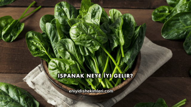 Ispanak Neye İyi Gelir?