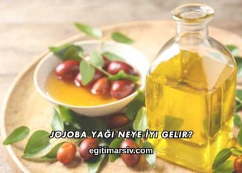 Jojoba Yağı Neye İyi Gelir?