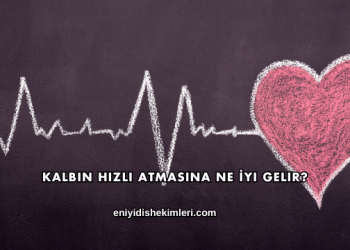 Kalbin Hızlı Atmasına Ne İyi Gelir?