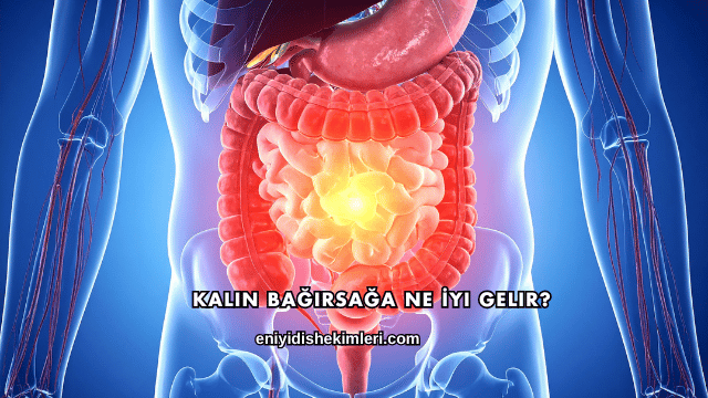Kalın Bağırsağa Ne İyi Gelir?