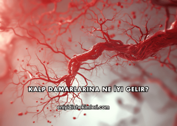 Kalp Damarlarına Ne İyi Gelir?