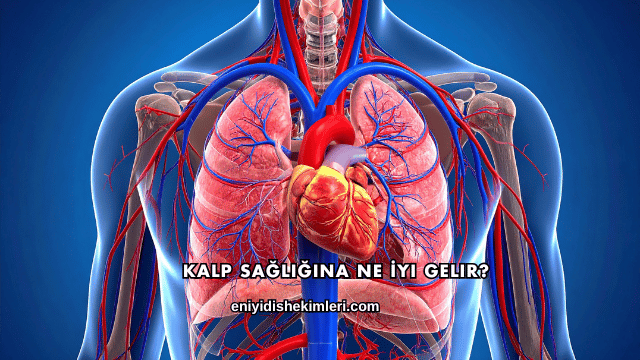Kalp Sağlığına Ne İyi Gelir?