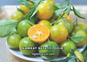 Kamkat Neye İyi Gelir?