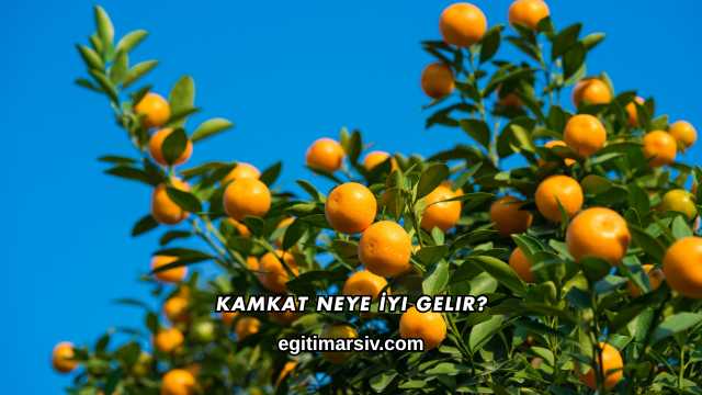 Kamkat Neye İyi Gelir?