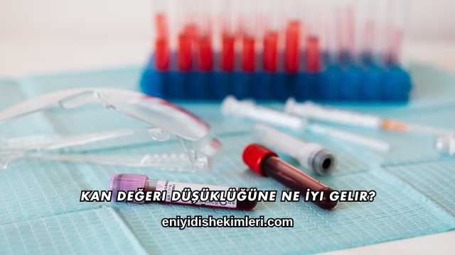 Kan Değeri Düşüklüğüne Ne İyi Gelir?