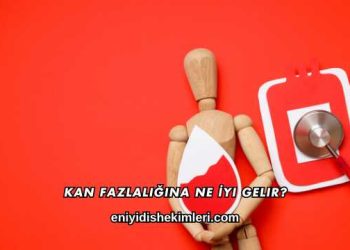 Kan Fazlalığına Ne İyi Gelir?