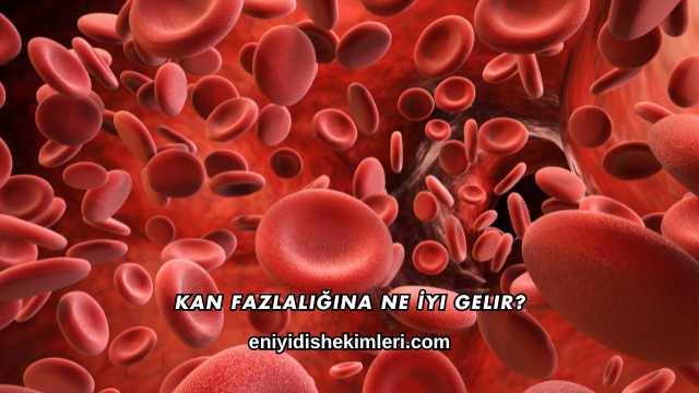 Kan Fazlalığına Ne İyi Gelir?