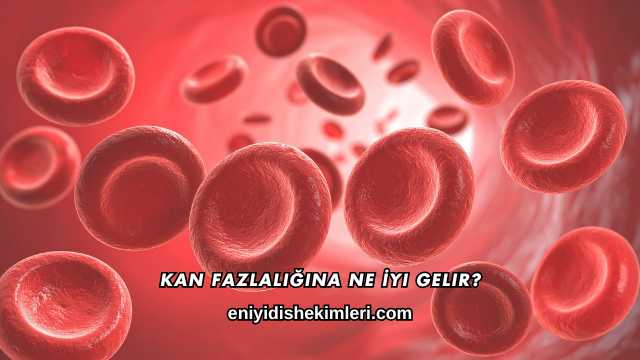 Kan Fazlalığına Ne İyi Gelir?