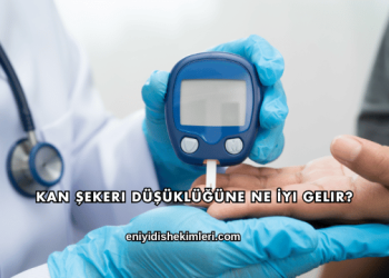 Kan Şekeri Düşüklüğüne Ne İyi Gelir?