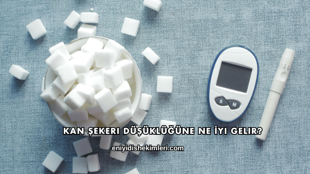 Kan Şekeri Düşüklüğüne Ne İyi Gelir?