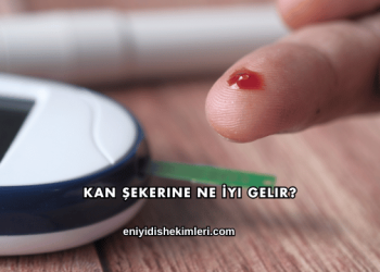 Kan Şekerine Ne İyi Gelir?