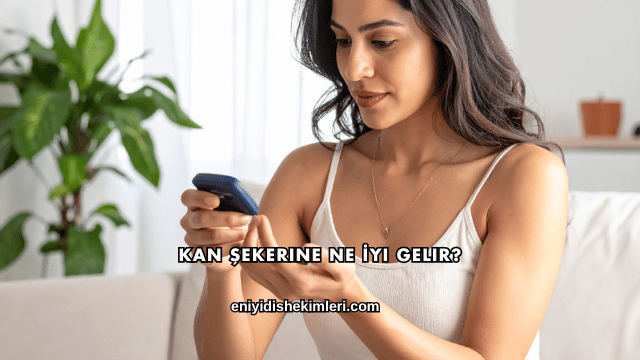 Kan Şekerine Ne İyi Gelir?