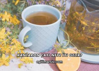 Kantaron Çayı Neye İyi Gelir?